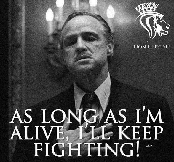 IG-lion-lifestyle
