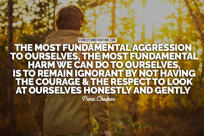Pema Chodron quotes