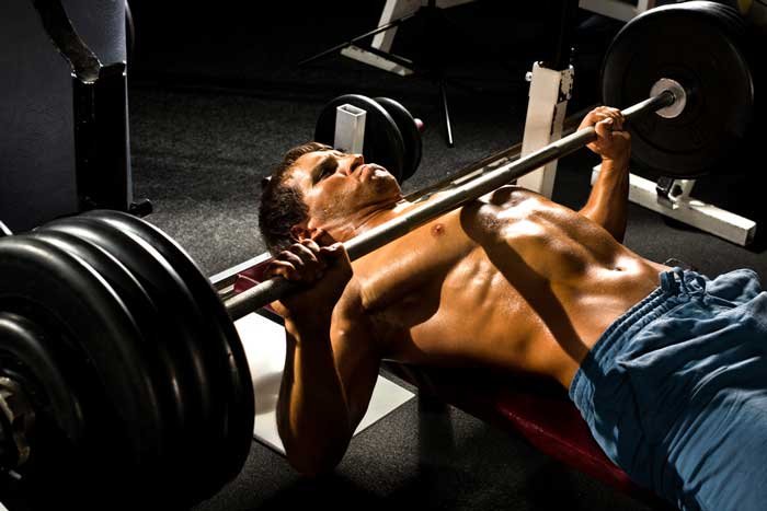 flat barbell bench press
