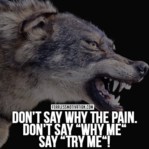 don't say why me say try me