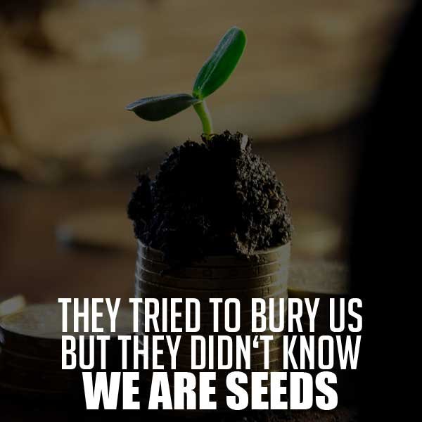 Quotes for Entrepreneurs