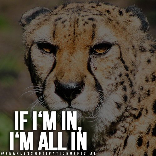 if i am in, i'm all in