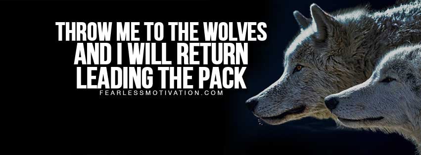 free Facebook covers wolves