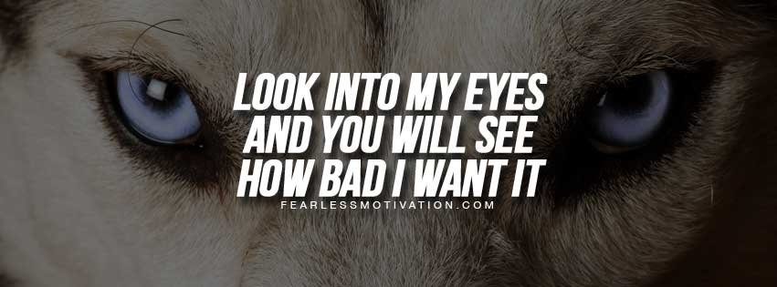 free Facebook covers wolves