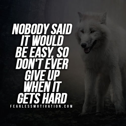 don't give up