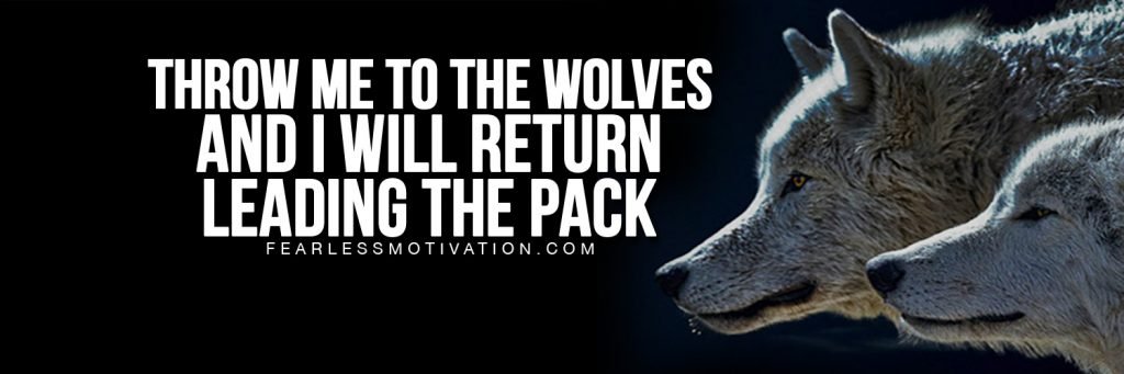 free twitter covers wolves