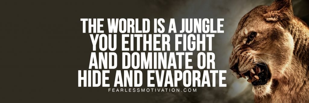 free twitter covers fight