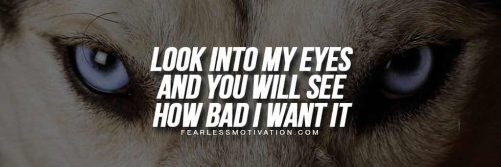 free twitter covers