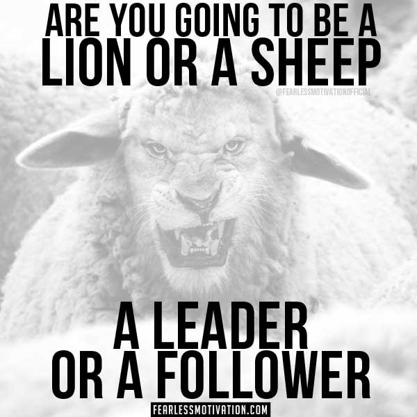 lion quotes in pictures