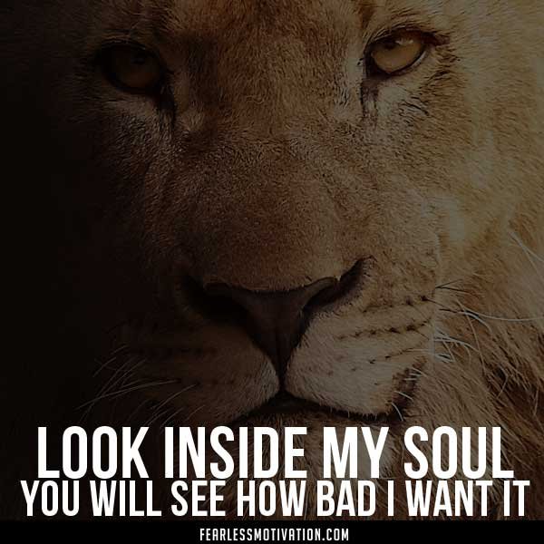 Lion Quotes In Pictures look in my soul