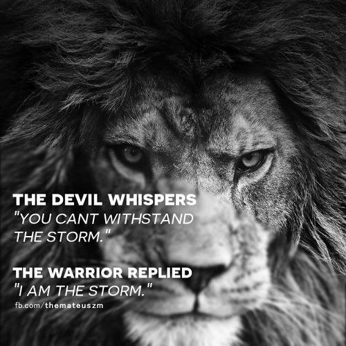 Lion Quotes In Pictures mateuszm