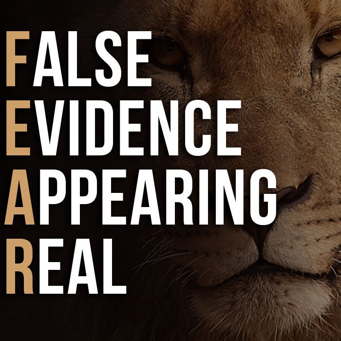 lion quotes