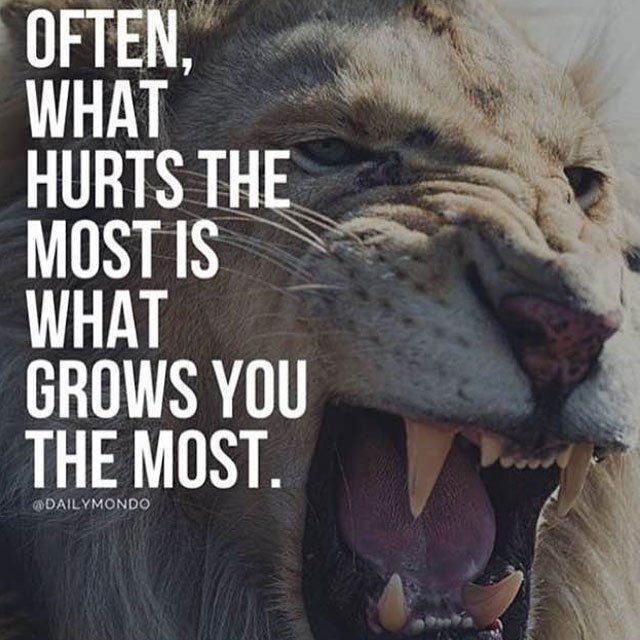 Lion Quotes In Pictures