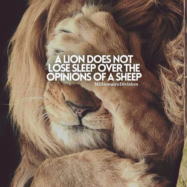 Lion Quotes In Pictures