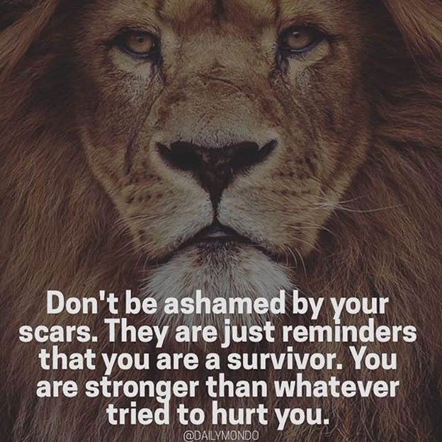 lion quotes