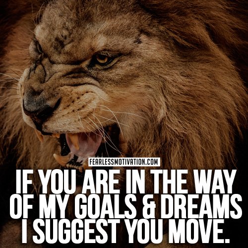 Lion Quotes In Pictures