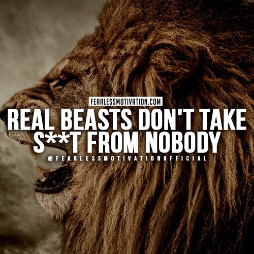 lion quotes