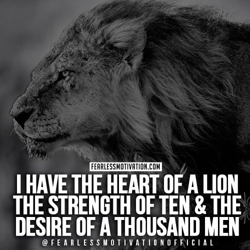 lion quotes in pictures