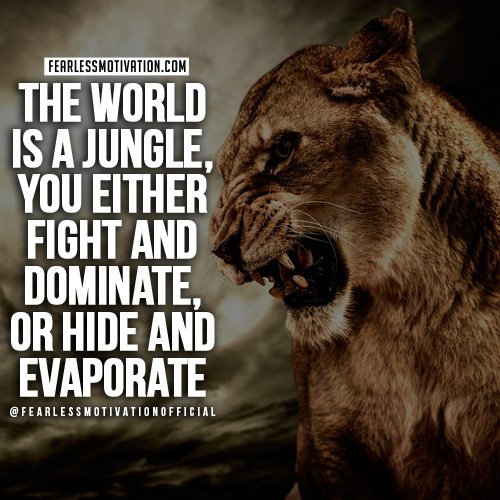 lion quotes the world is a jungle