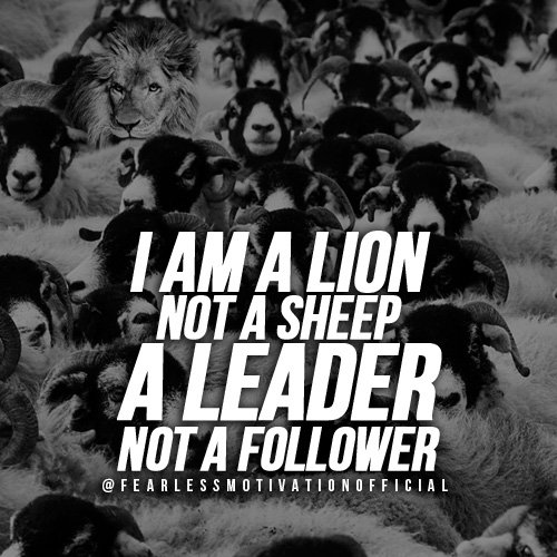 lion quotes-lion-not-a-sheep