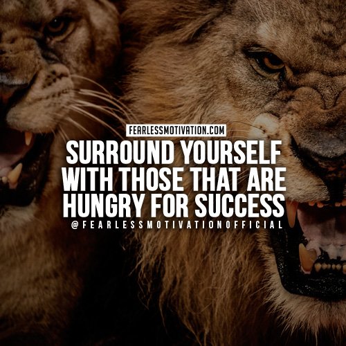 lion quotes-surround