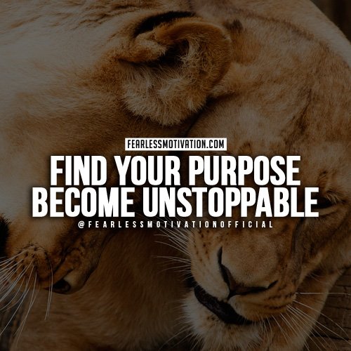 lion quotes