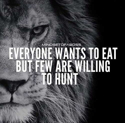 lion quotes in pictures