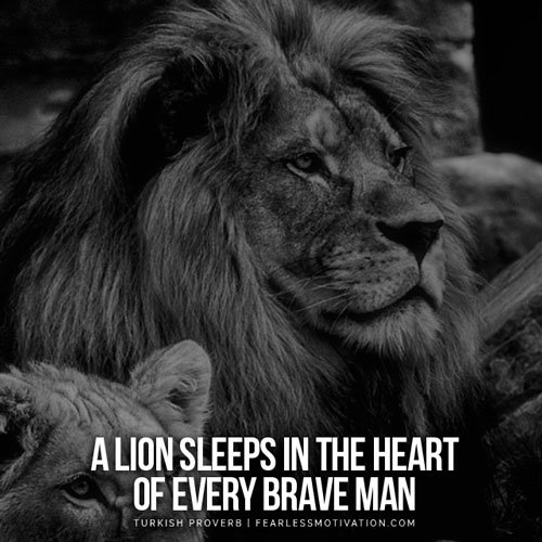 lion quotes in pictures
