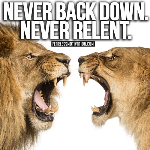 never-back-down