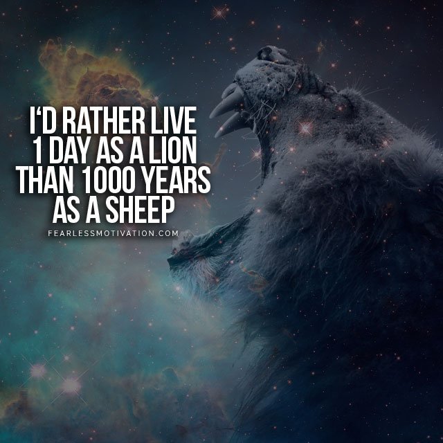 lion quotes