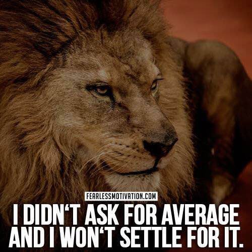 average never settle