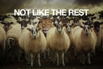 not like the rest