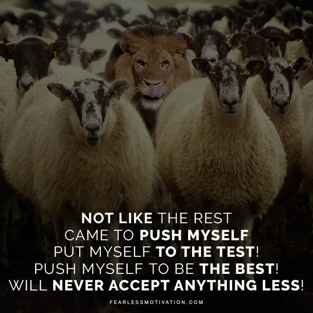 not-like-the-rest-3-instagram-quotes-new