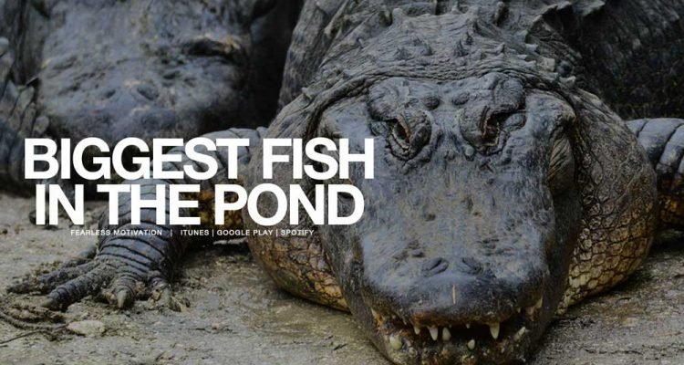 biggest fish in the pond