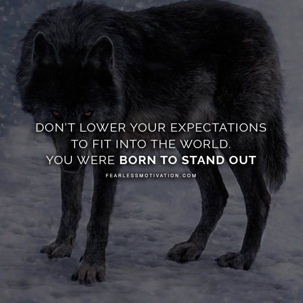 Wolf pack quotes Wolves Quote