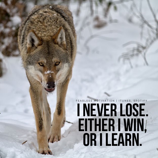 wolf quotes