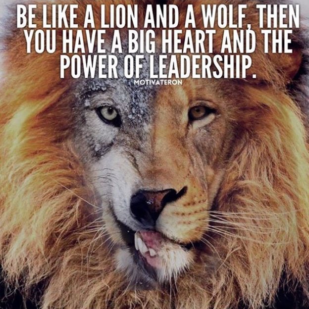 wolf quotes