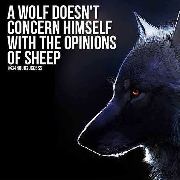 Image: Instagram Wolf pack quotes Wolves Quote