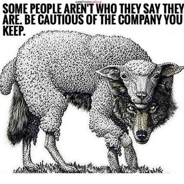 Wolf pack quotes Wolves Quote