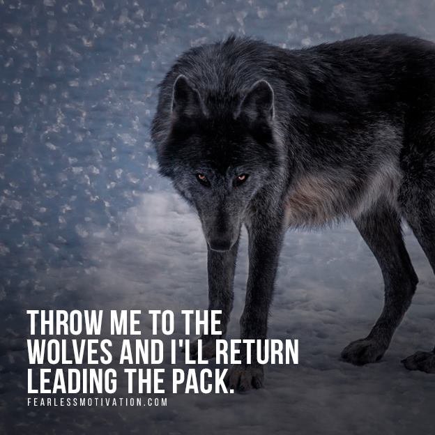 wolf quotes