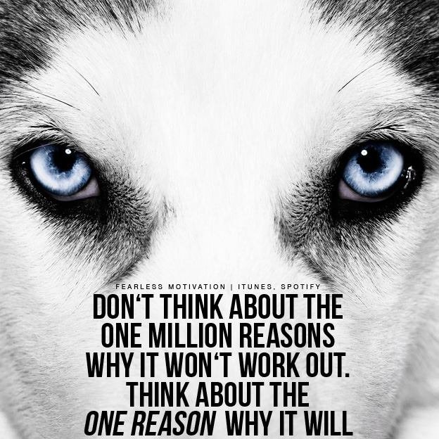 Wolf pack quotes Wolves Quote