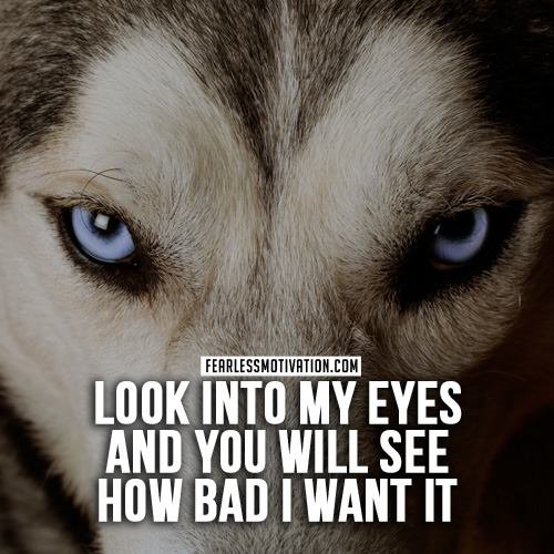 Wolf pack quotes Wolves Quote