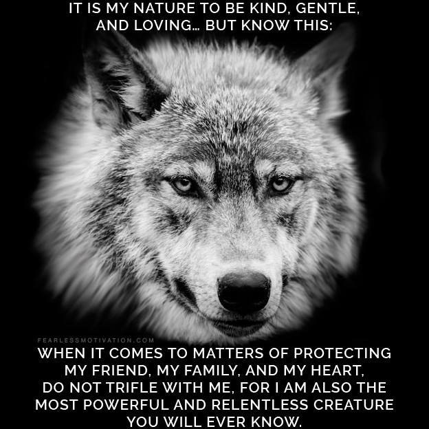 Wolf pack quotes Wolves Quote