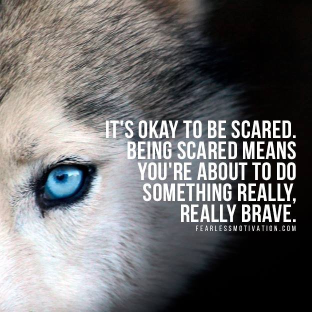 Wolf pack quotes Wolves Quote
