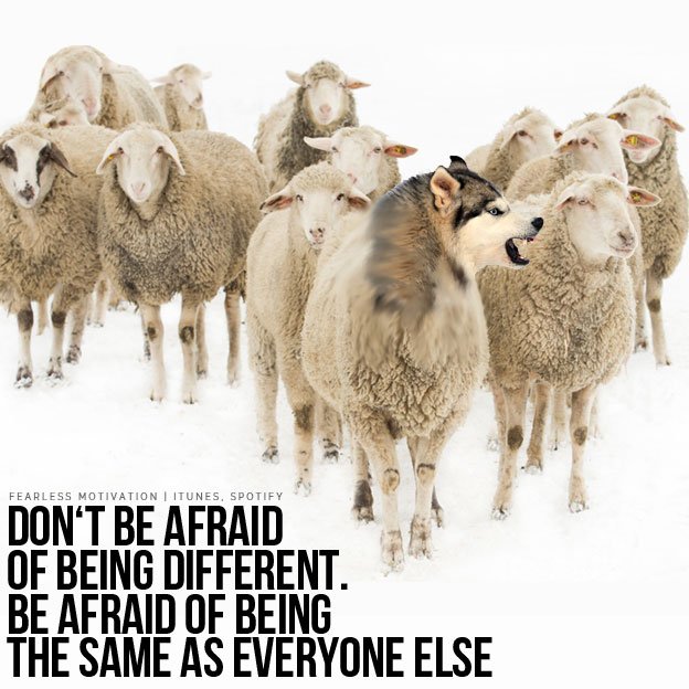 Wolf pack quotes Wolves Quote