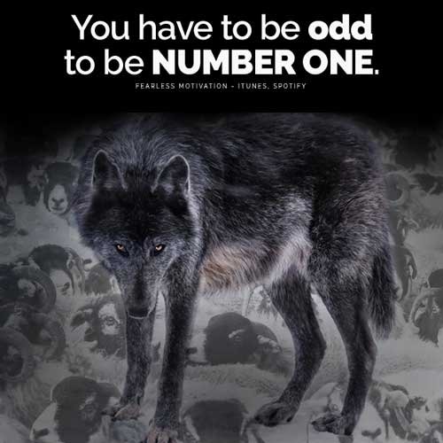 You Have To Be Odd To Be Number One