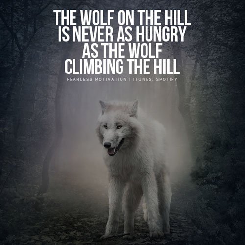 Wolf pack quotes Wolves Quote