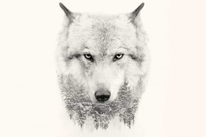 wolf quotes