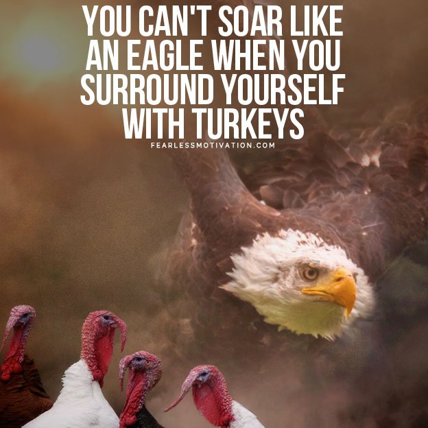 You Can't Soar Like An Eagle When You Surround Yourself With Turkeys