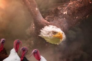 You Can't Soar Like An Eagle When You Surround Yourself With Turkeys